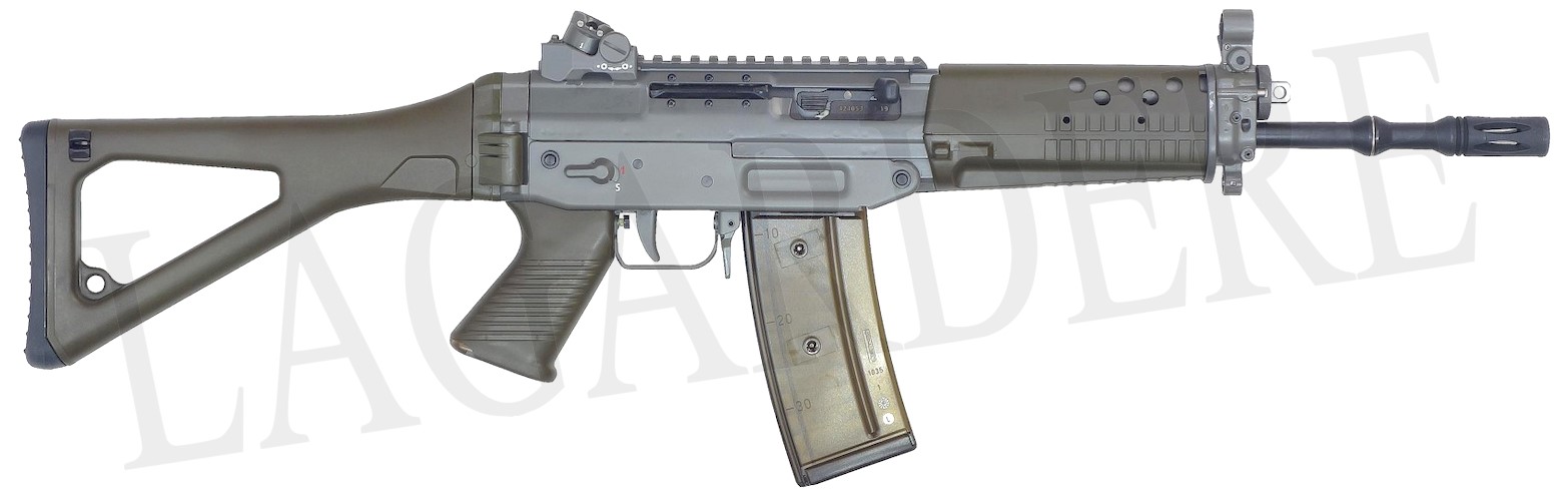 SAN SWISS ARMS SG 553-1 LB VERT HA DIOPT+RAIL