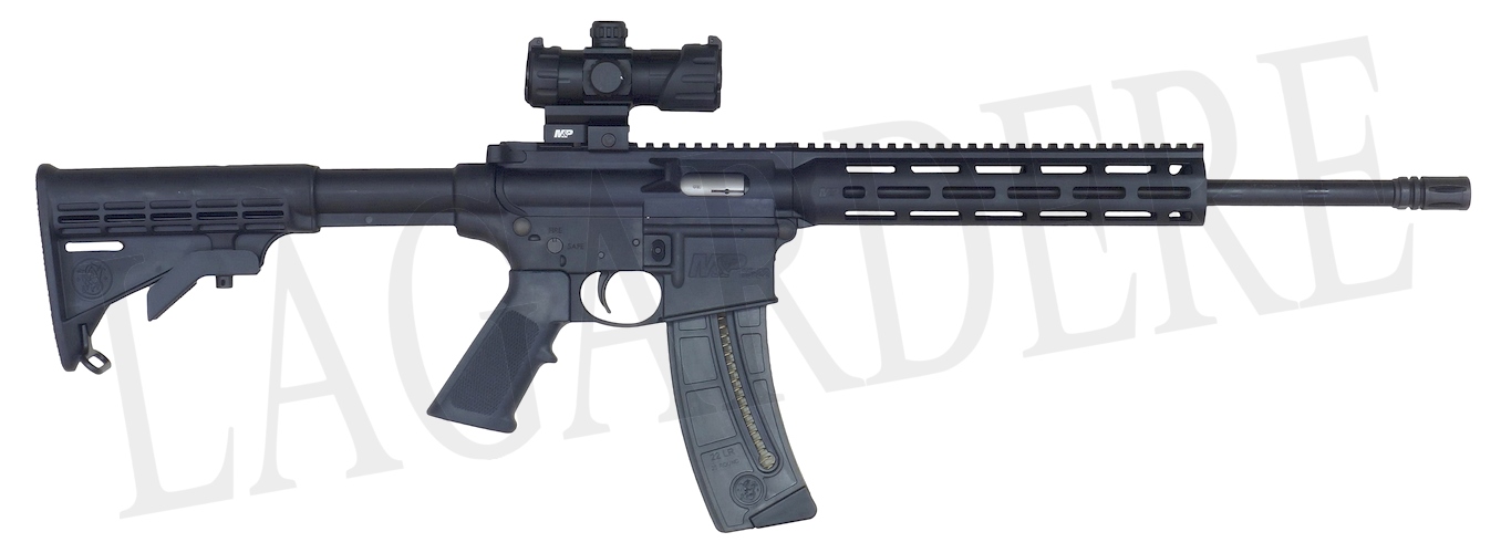 SMITH & WESSON M&P 15-22 AVEC VISEUR 16,5"